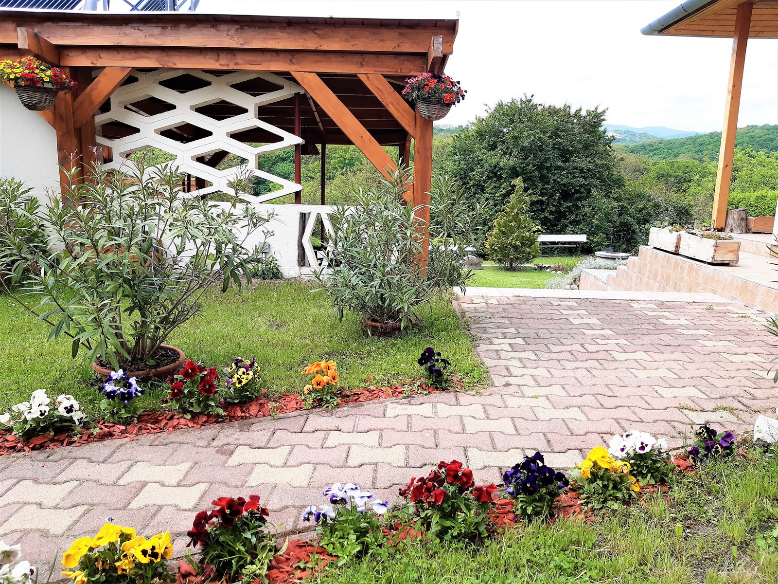 Virágos udvar a bejárati útnál