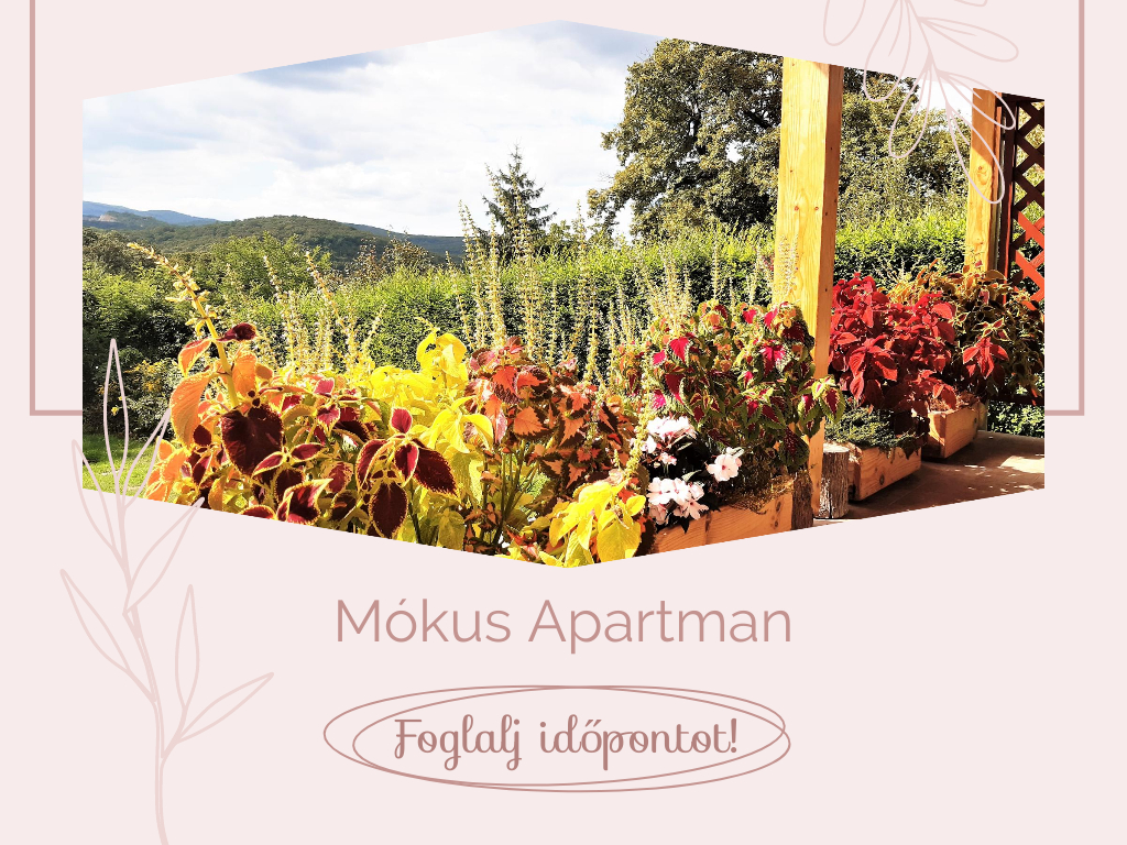 Foglalj időpontot a Mókus Apartmanba